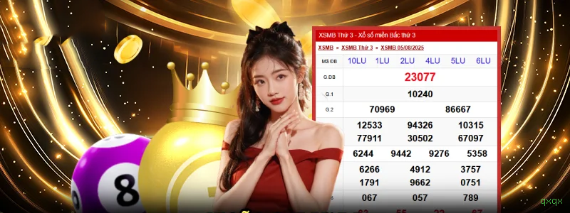 Imagem promocional da qxqx mostrando a plataforma e suas vantagens